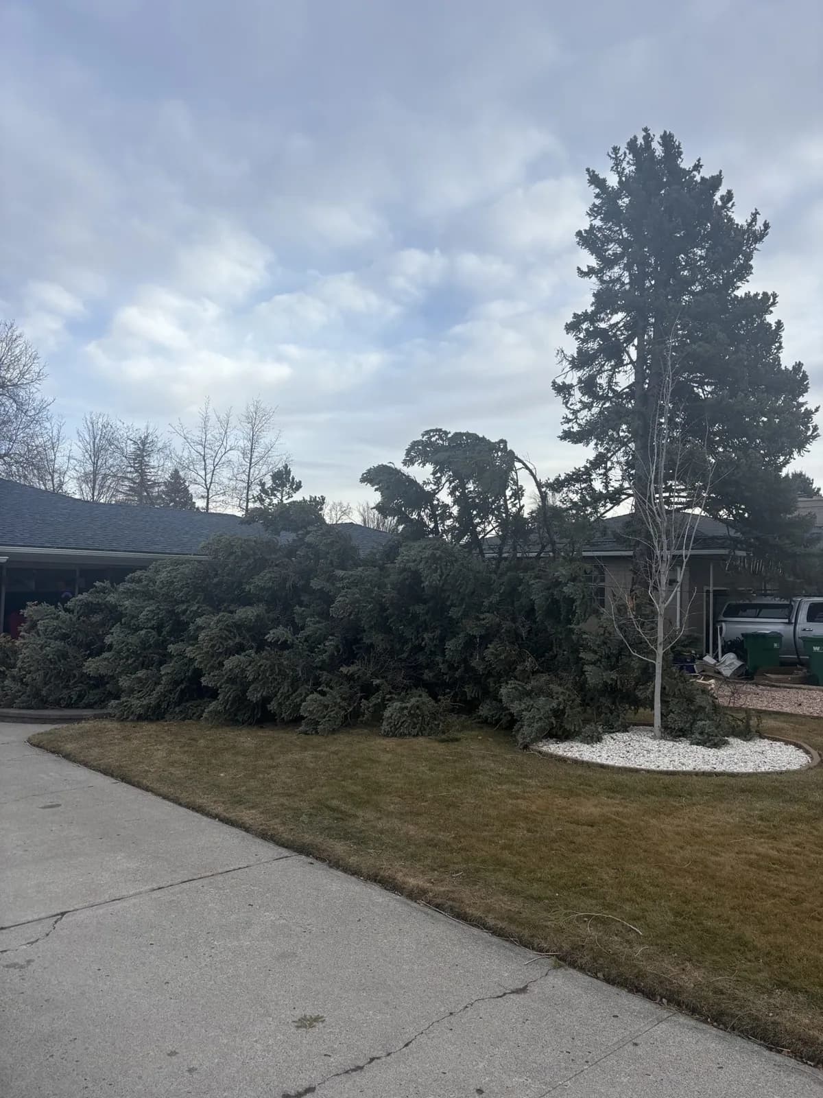 Emergency storm-damage tree removal handled by Eagle Tree Service