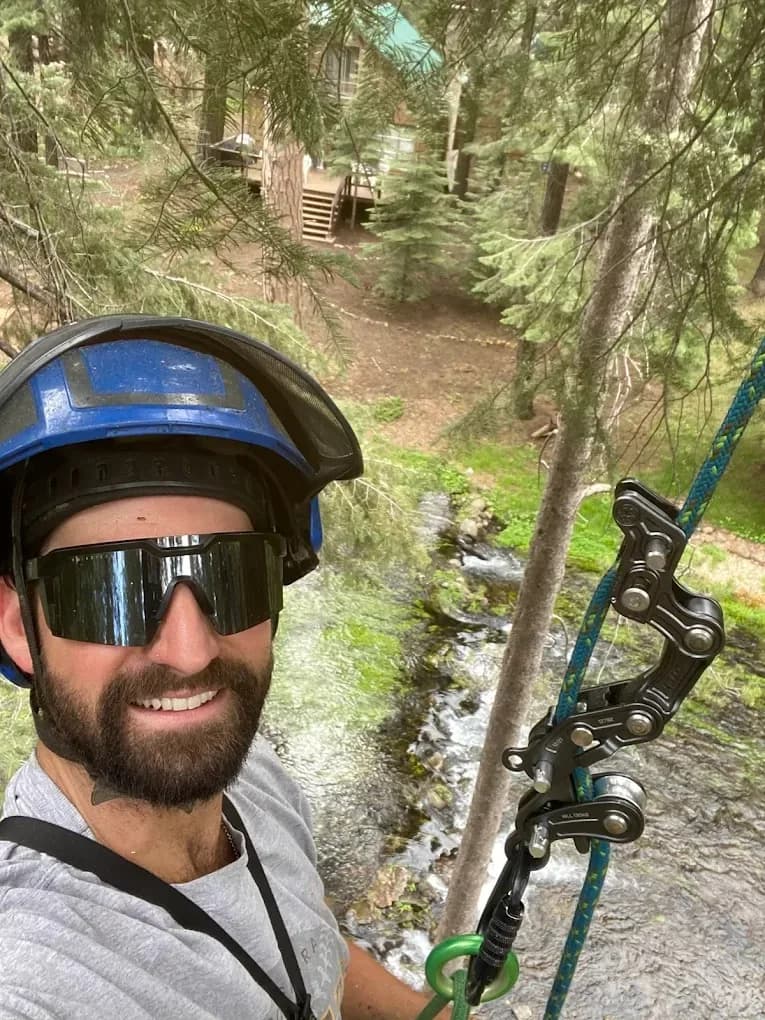 Eagle Tree Service project in the Reno/Tahoe area