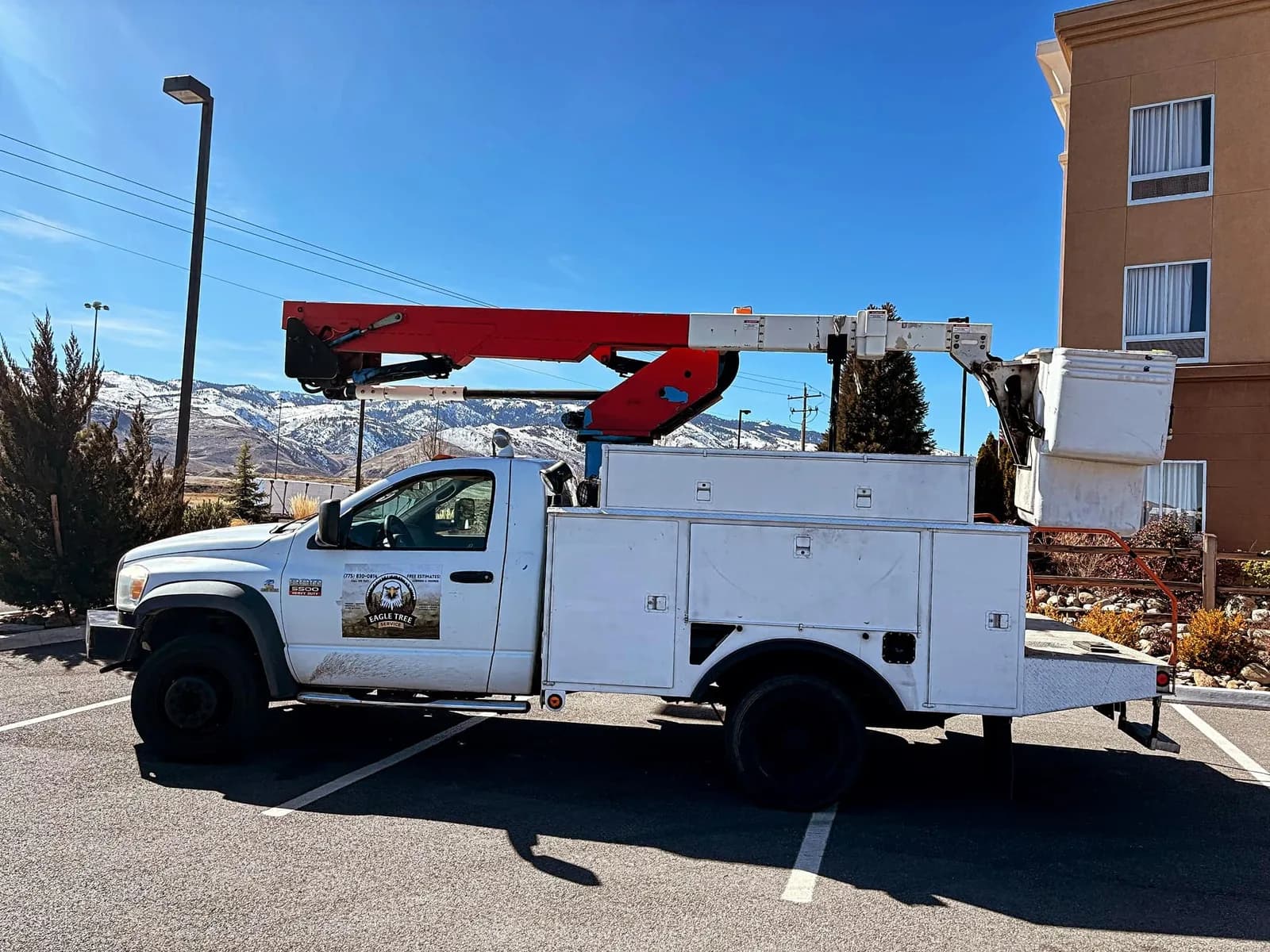 Eagle Tree Service crew working on a residential tree care project in Reno
