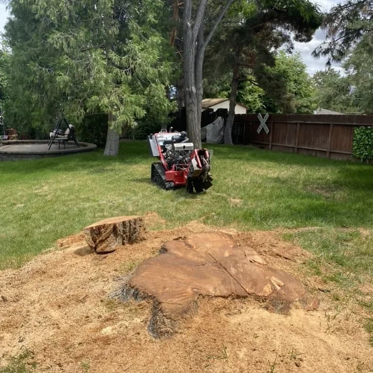 Stump grinder grinding a tree stump below grade in a Reno yard